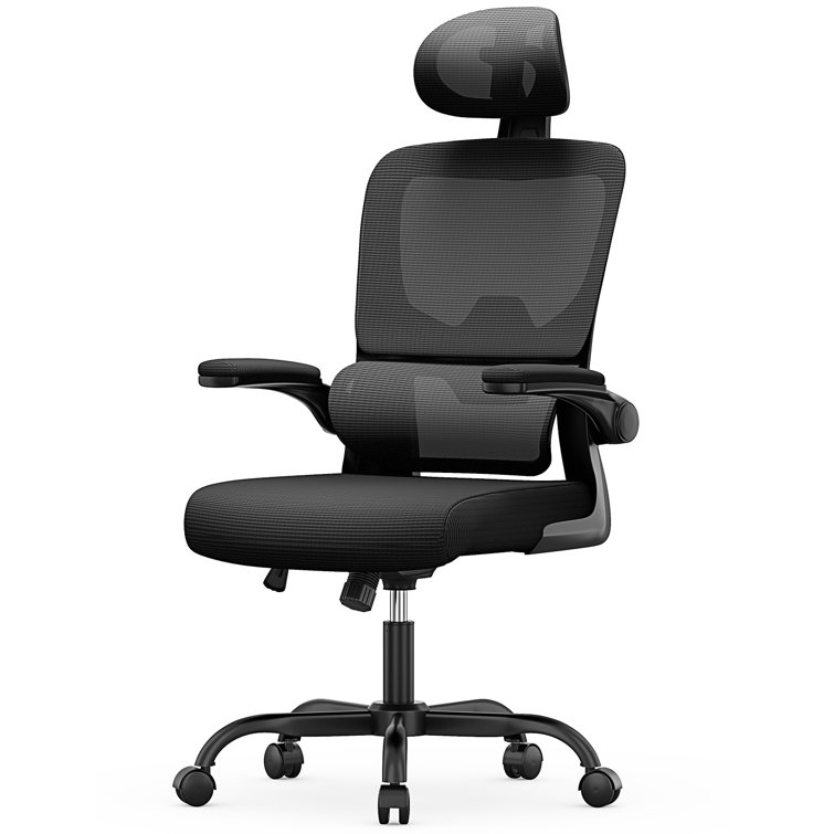 17 Stories Issaih Office Chair & Reviews Wayfair.co.uk